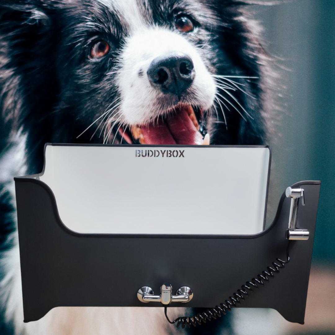 Buddybox - Hundedusche
