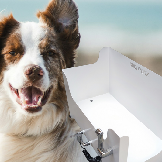 Buddybox - Hundedusche