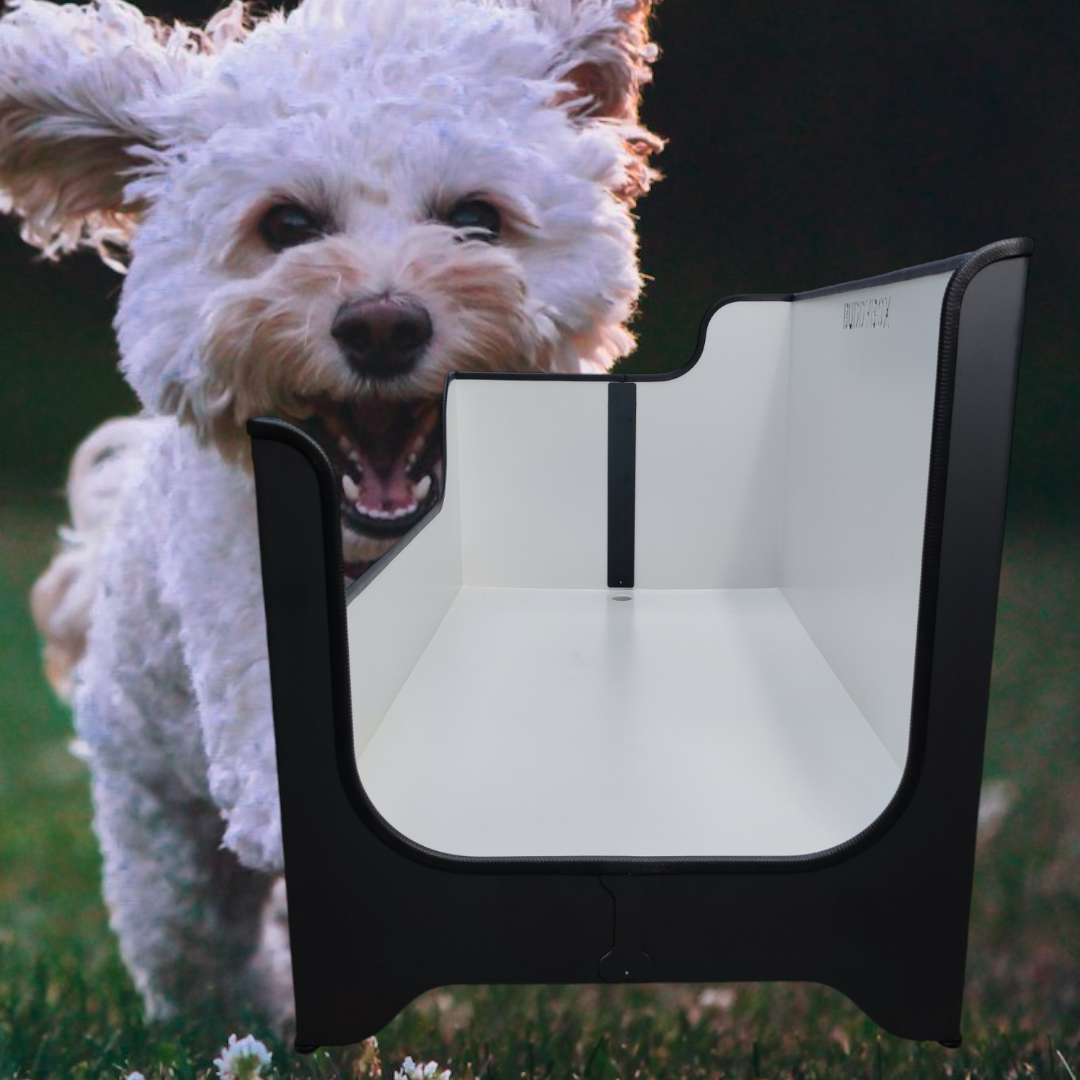 Buddybox - Hundedusche