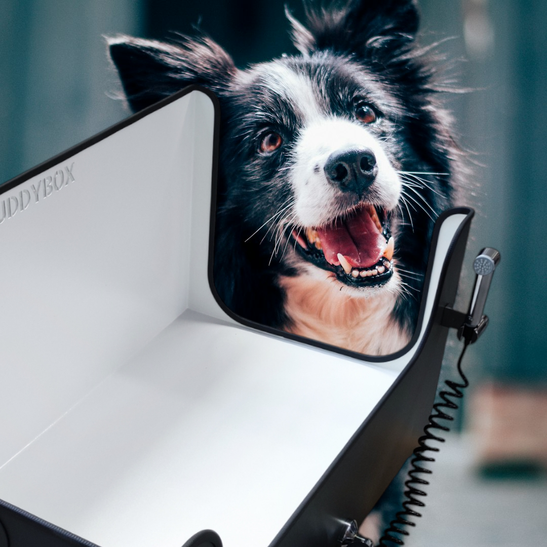 Buddybox - Hundedusche
