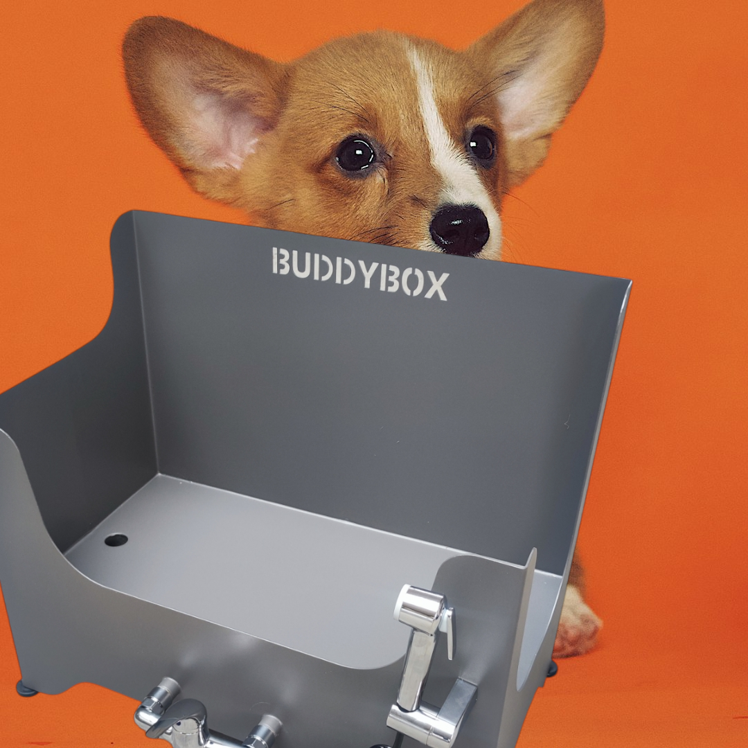 Buddybox - Hundedusche