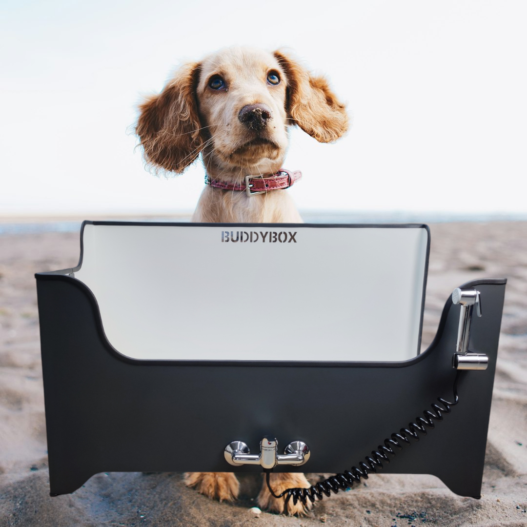 Buddybox - Hundedusche