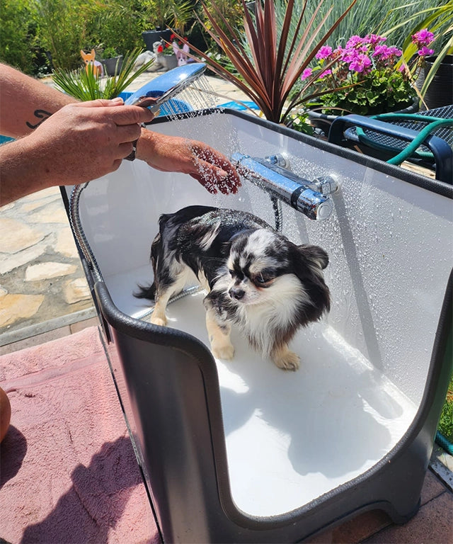 Buddybox - Hundedusche